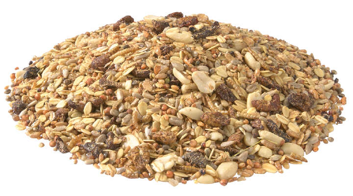 TIERLIEBE Wildvogelmenü mit Insekten